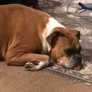 Meet your Posher, Sylvia